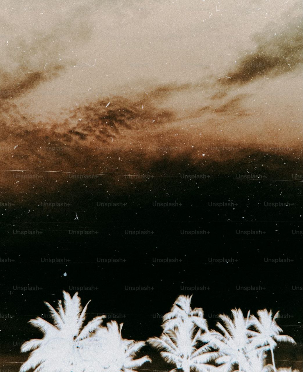 1404-05-30 16.53.27